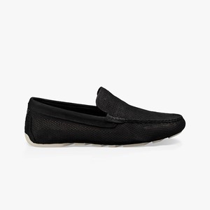 Ugg Henrick Stripe Perf Driver Men Moccasins Black (1495MUBPW)